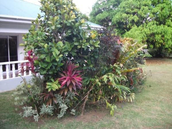 Marl Self Catering Villa Pointe La Rue Kültér fotó